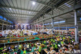 第三方倉(cāng)配外包與家政服務(wù) 如何選擇優(yōu)質(zhì)服務(wù)商